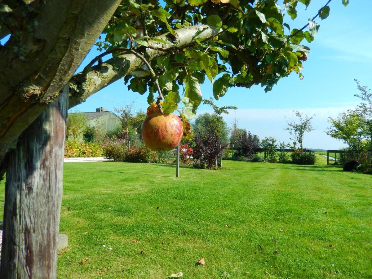 Villa Waterland Den Ilp Dış mekan fotoğraf